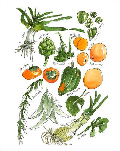 Vegetables by Wendy MacNaughton