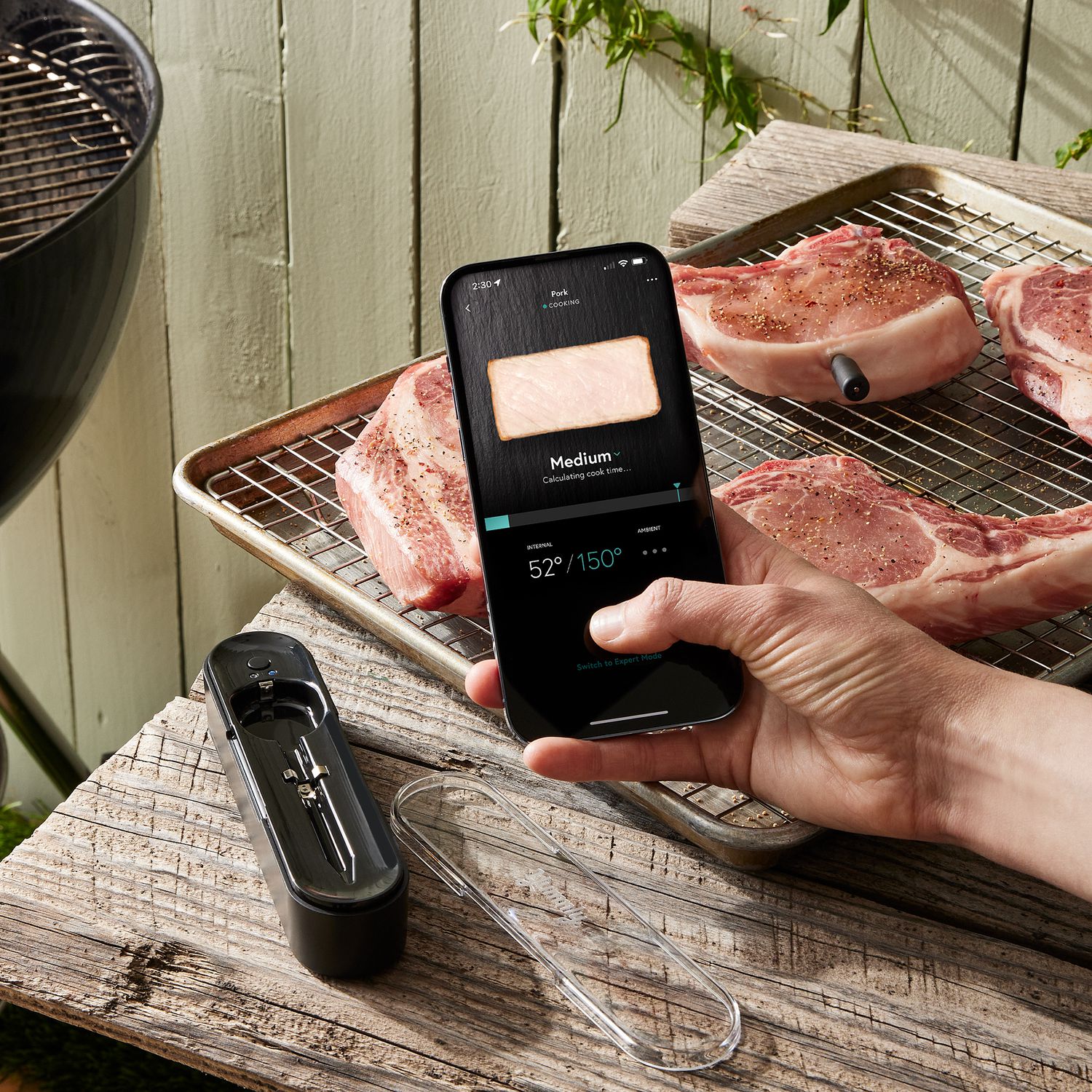 Yummly - Smart Meat Thermometer - Graphite