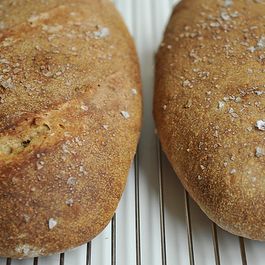 Yeast breads savory by gwimper