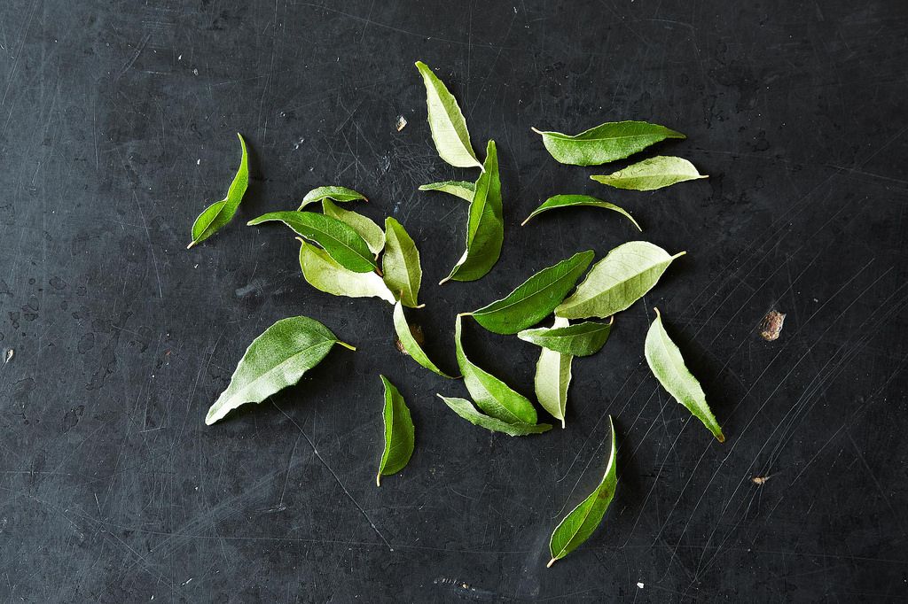 Curry Leaves and Your Favorite Ways to Use Them