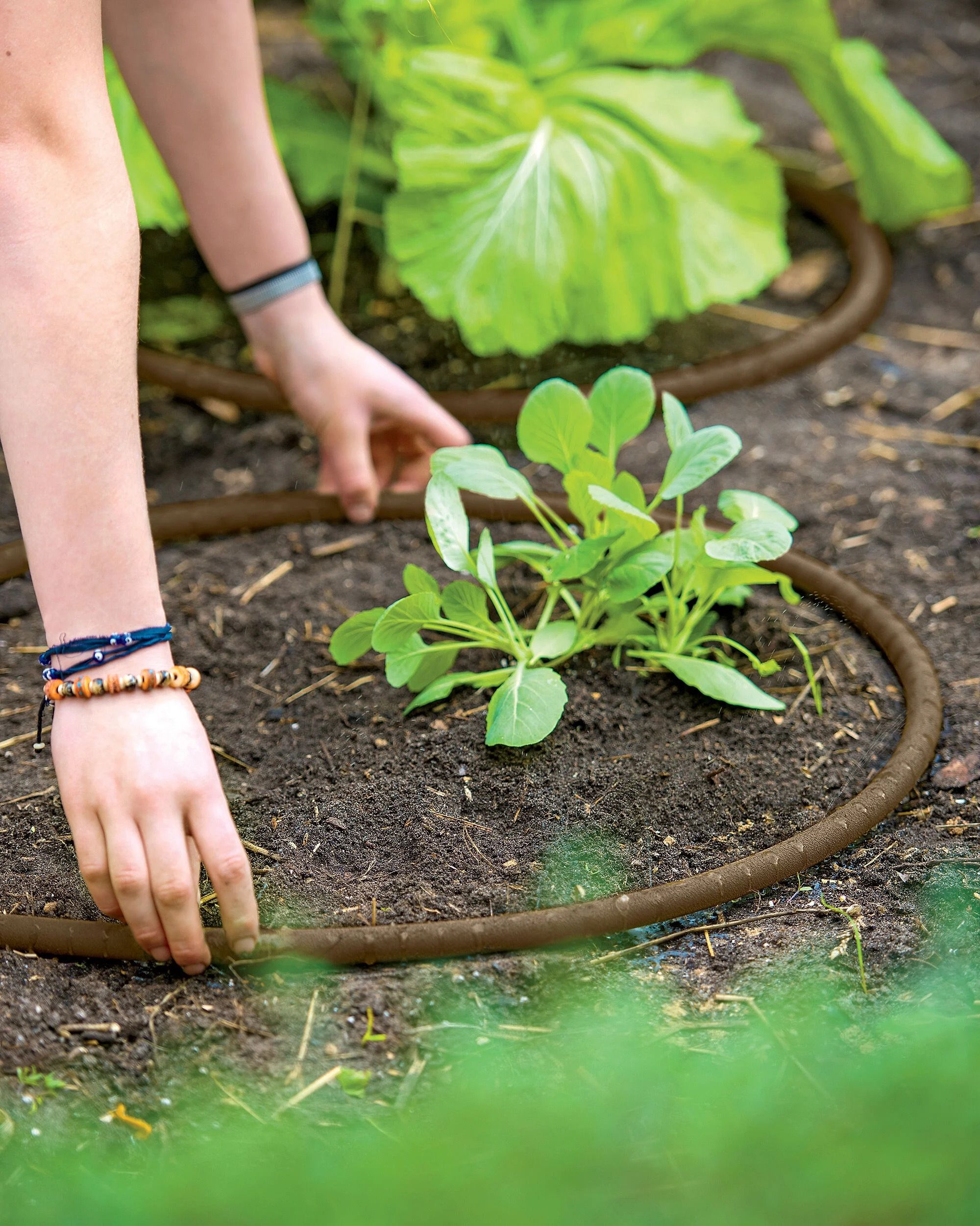 17 Essential Gardening Tools the Pros Swear By