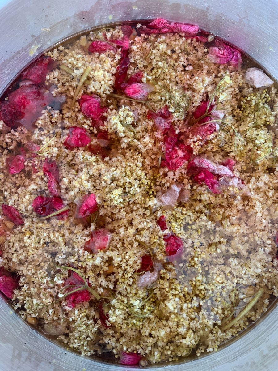 Elderflower and Rose Hip Syrup Recipe on Food52