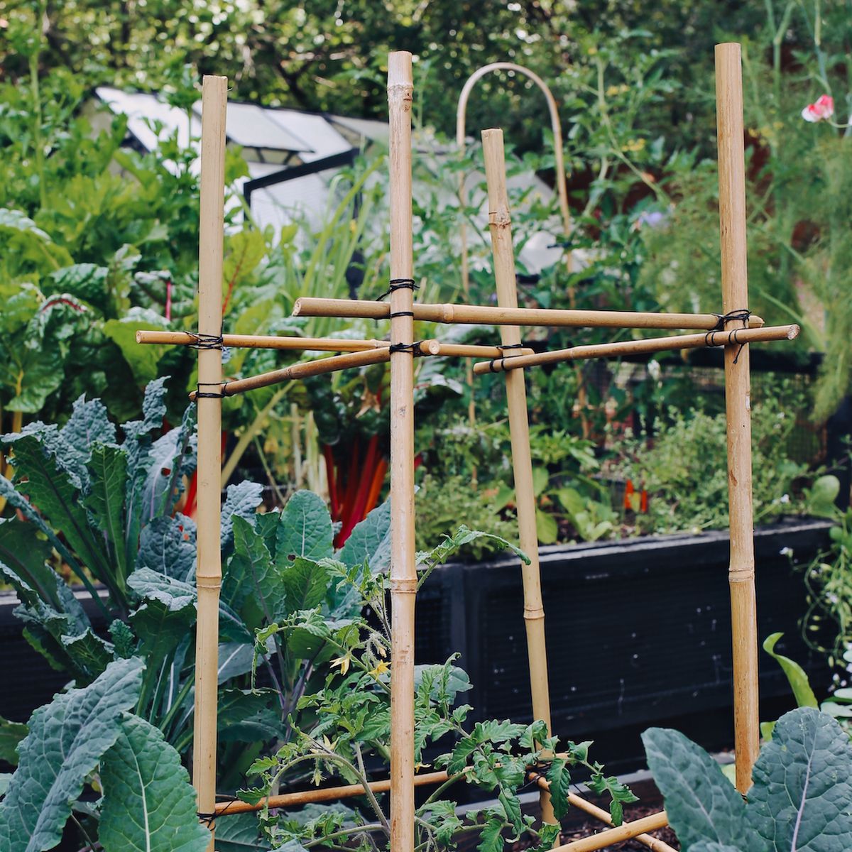 How to Build a Trellis—DIY Garden Trellis Ideas
