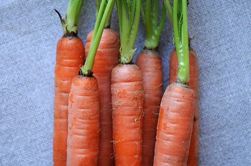 Your Best Carrot Recipe