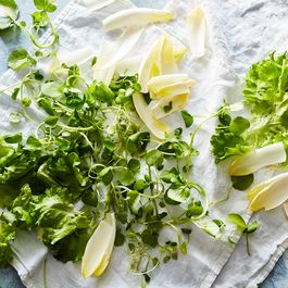 Salad greens by Karen