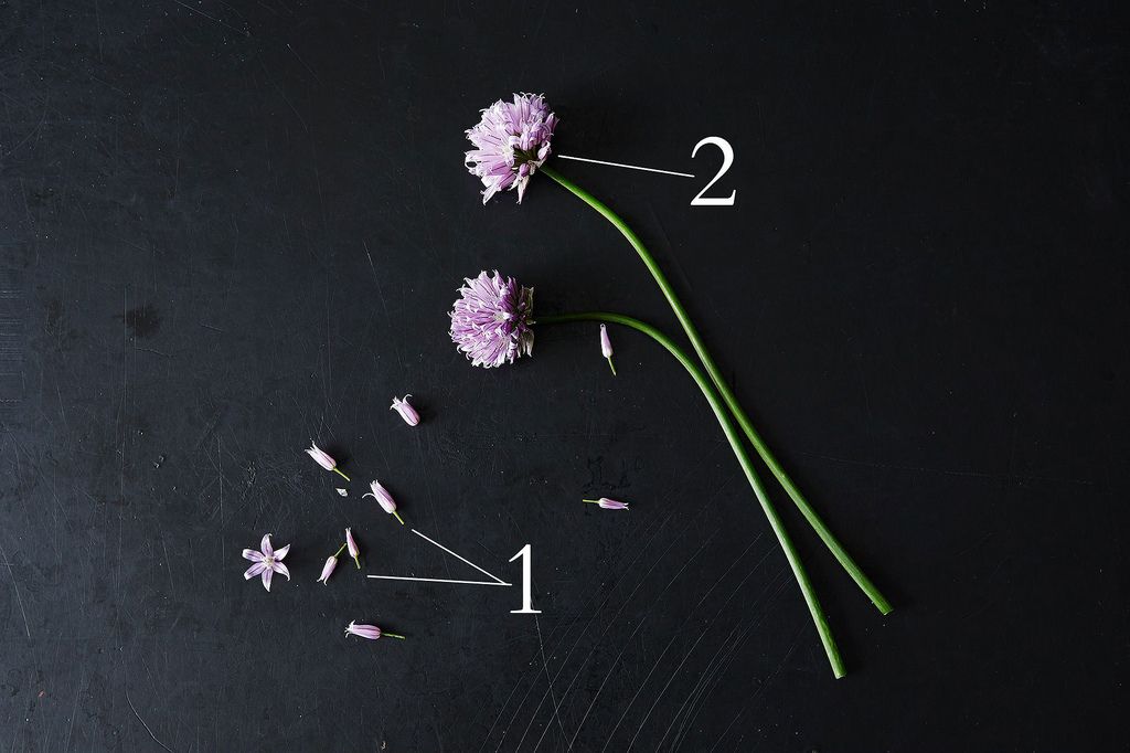 All About Chives and Chive Blossoms, from Food52
