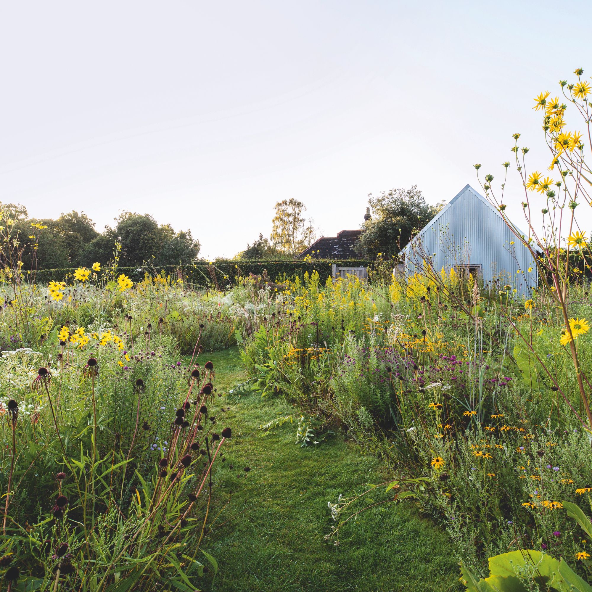 Ways to Add Wildness to Your Garden - Review of WILD by Noel Kingsbury