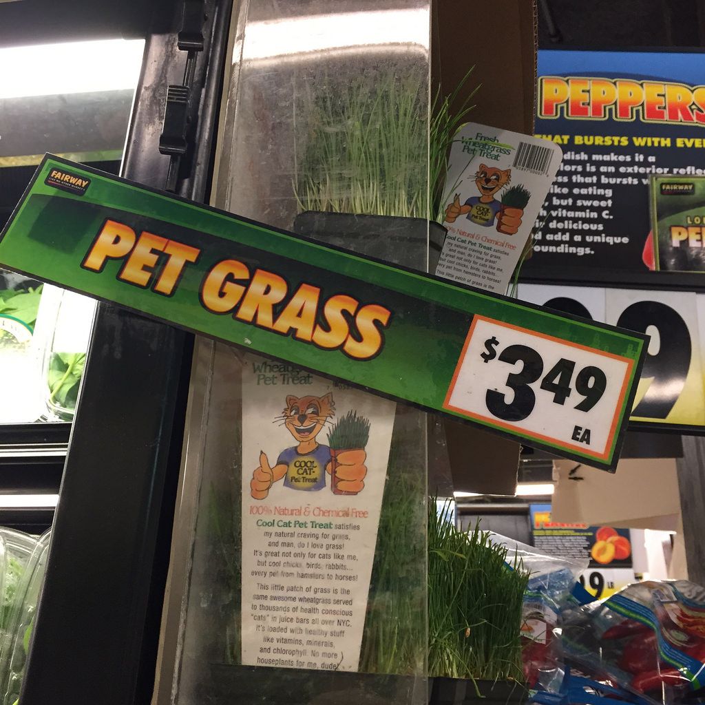 Pet grass