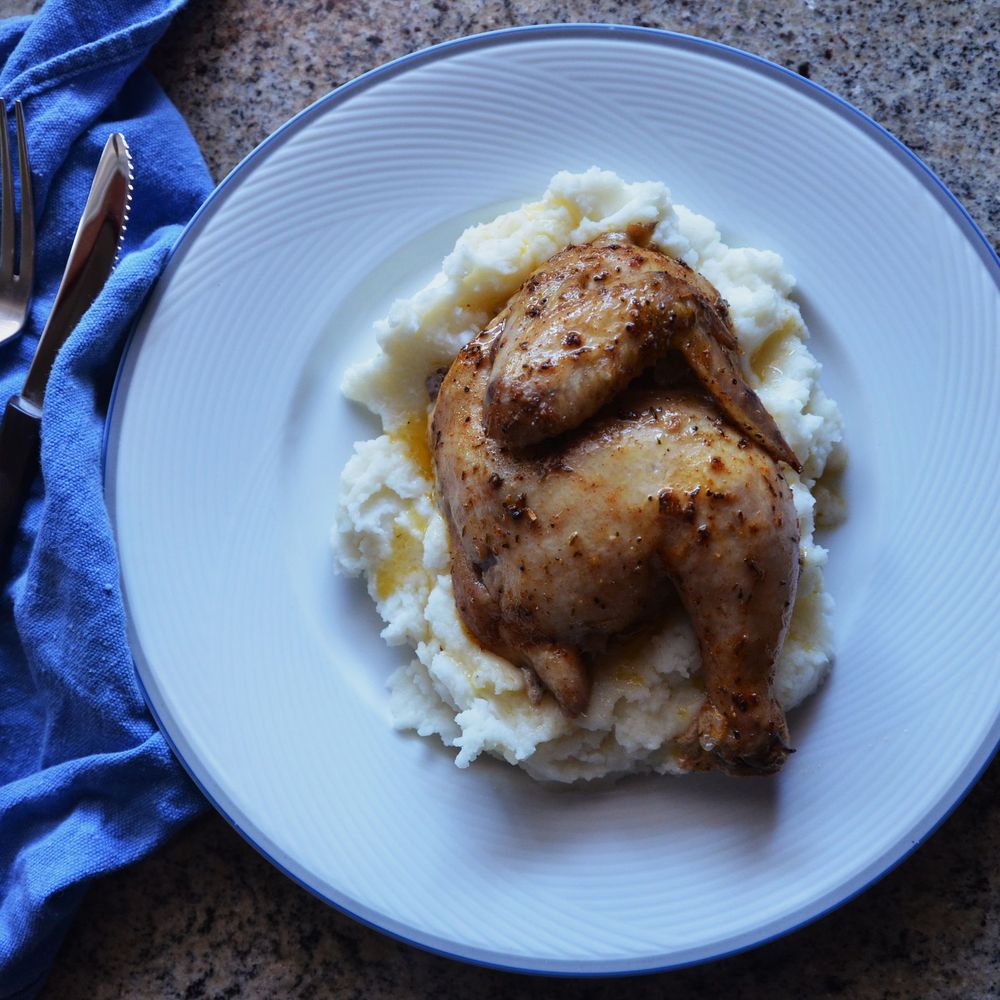 roasted cornish game hen with mashed potatoes