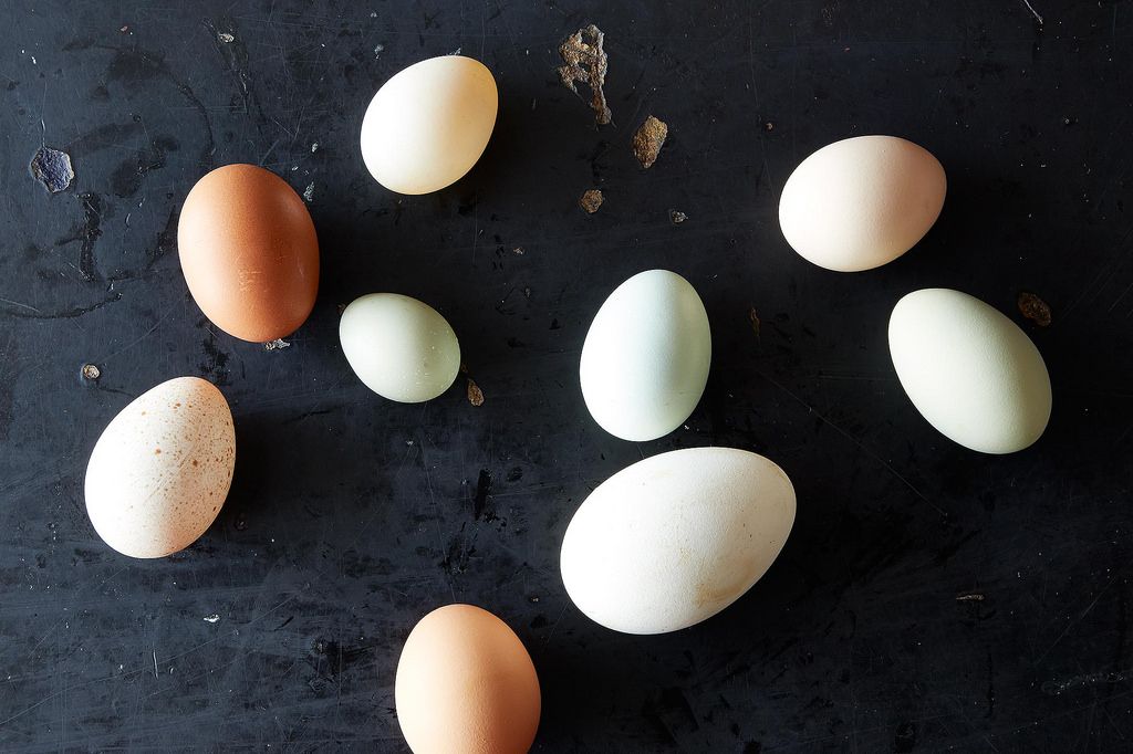 free range,pasture raised for cooking or eating 12 duck eggs organic 