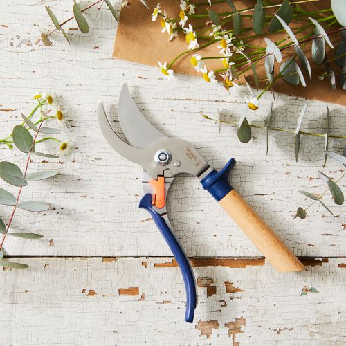 Opinel Hand Pruner Shears for Gardening, 2 Colors on Food52