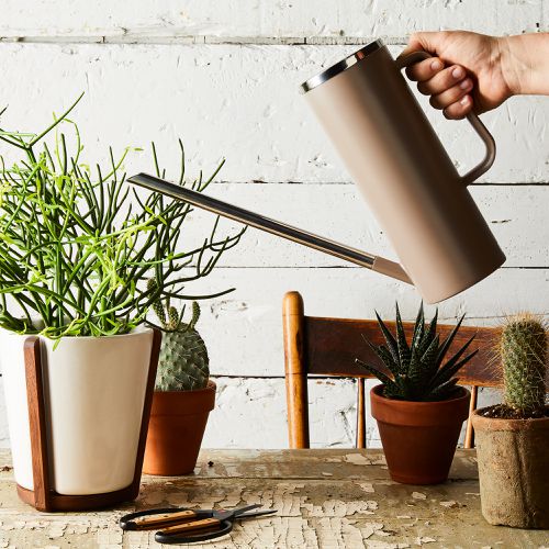 Indoor Long Spout Watering Pot For Plants Flowers Watering Can Home Garden Tool 