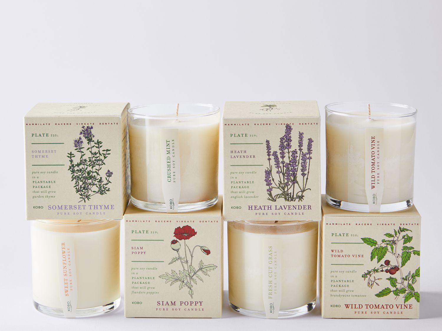 KOBO Plant the Box Candles, 7 Scents, Hand-Poured Soy Wax on Food52