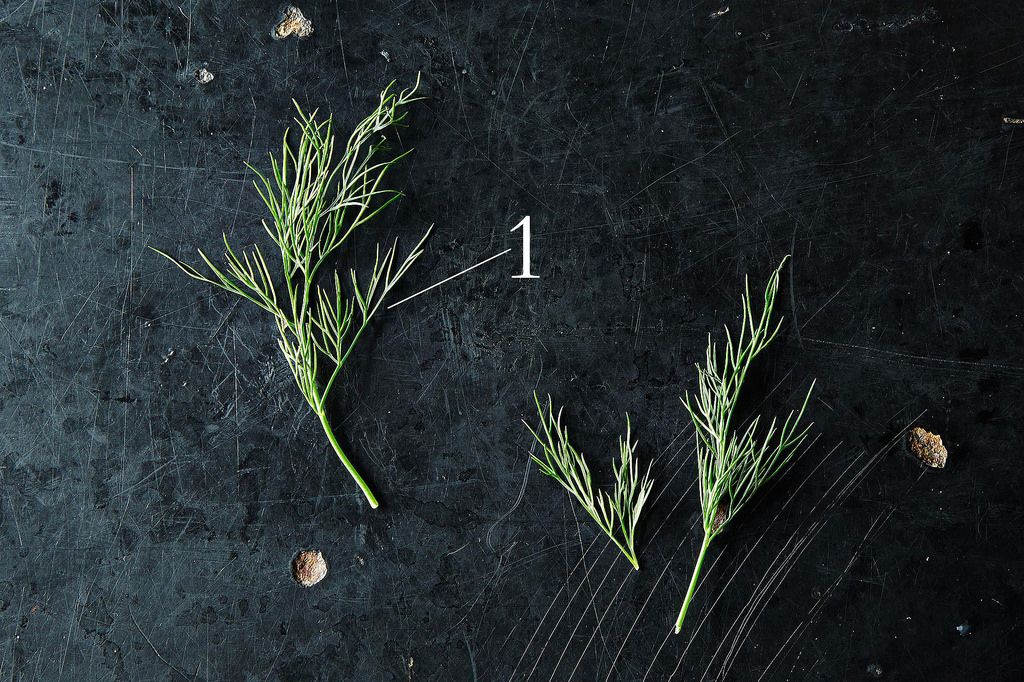 Dill and How to Use It from Stem to Seed, from Food52