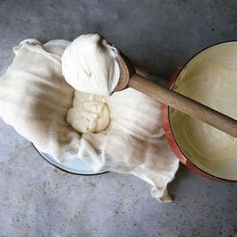 Cheese and Yogurt by Teddee Grace