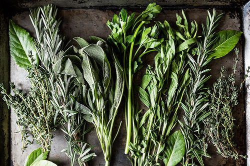 The Best Ways to Store Fresh Herbs